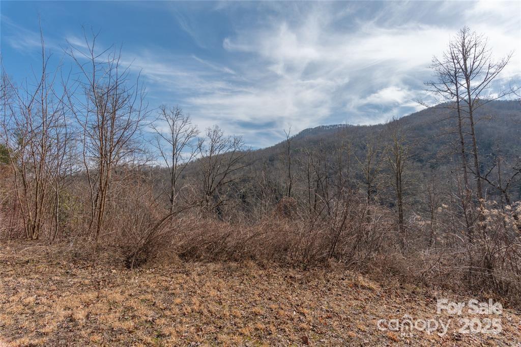 2 Tilley Creek Road Cullowhee, NC 28723 - Photo 2 of 8 a view of a dry yard