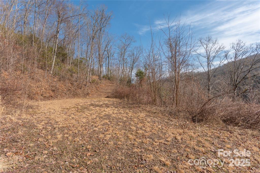 2 Tilley Creek Road Cullowhee, NC 28723 - Photo 3 of 8 a view of backyard with green space