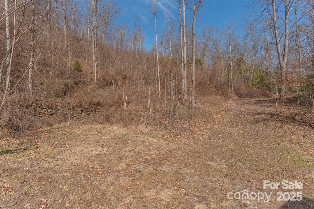 2 Tilley Creek Road Cullowhee, NC 28723 - Photo 4 of 8 a view of a dry yard with trees in the background