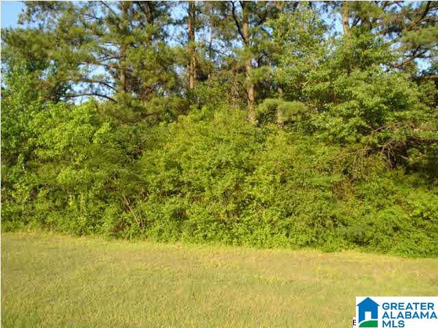 8317 Rouse Road North Warrior, AL 35180 - Photo 2 of 3