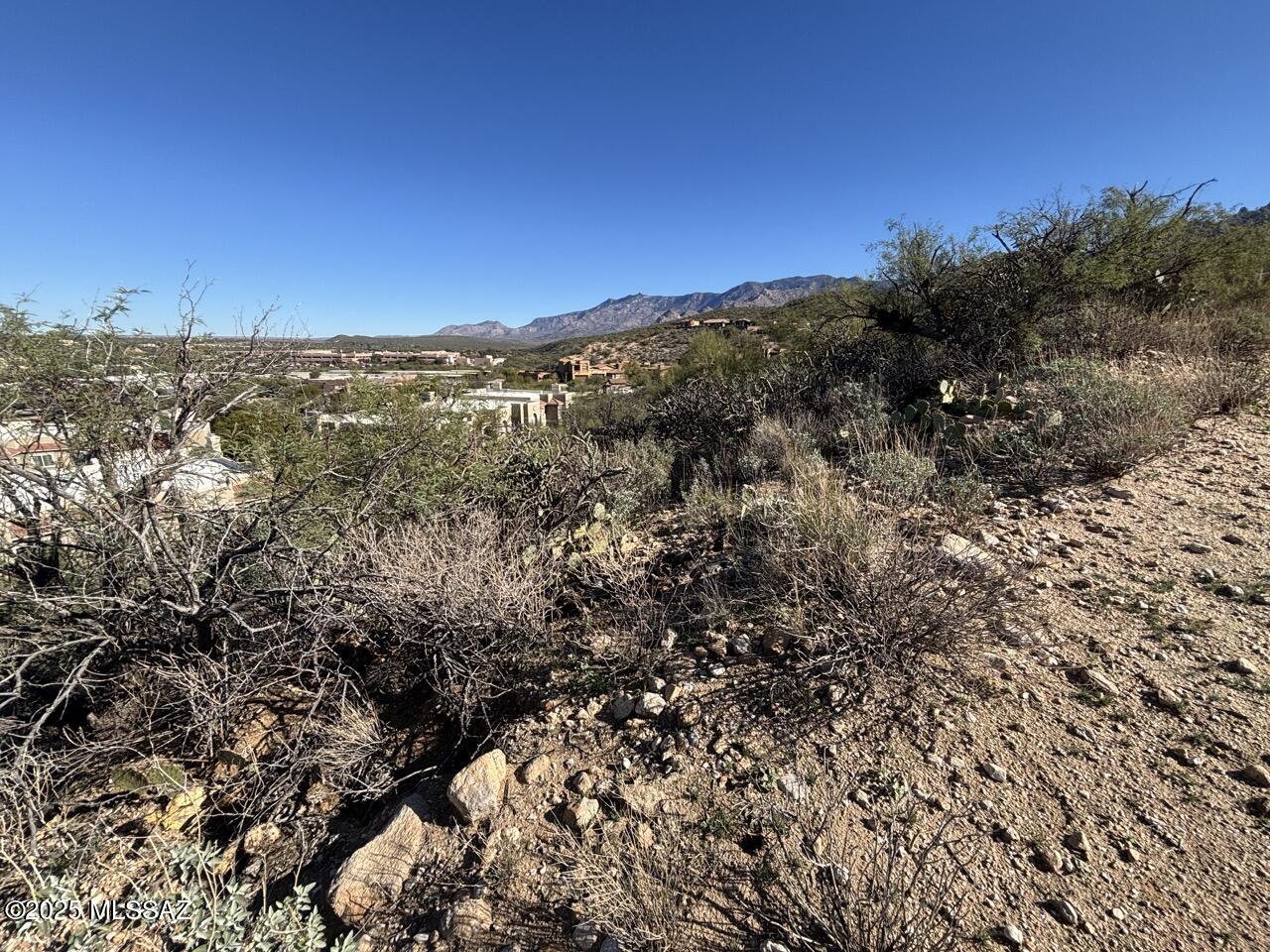 1655 East Buck Ridge Place, Unit 11 Tucson, AZ 85737 - Photo 3 of 4