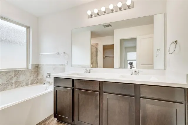 a bathroom with a sink tub double vanity and a mirror