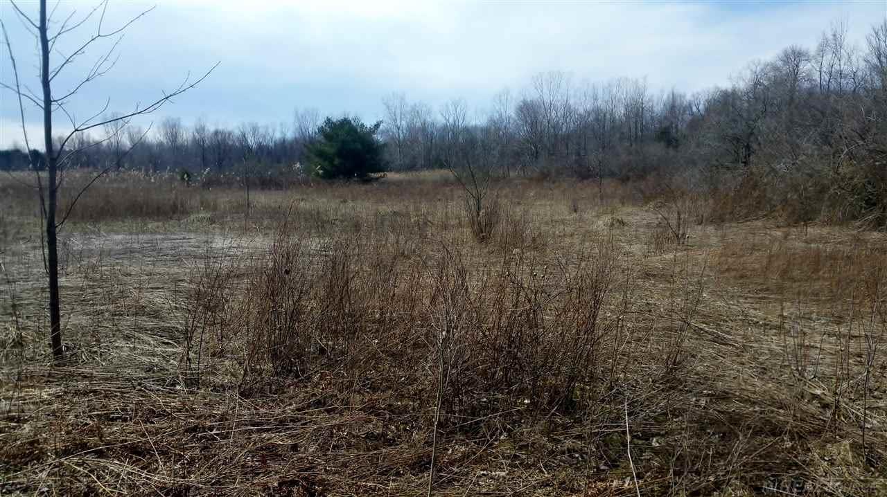 0 Mayer Road Casco, MI 48064 - Photo 3 of 5