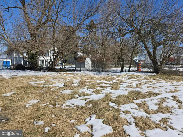 a view of a yard with a trees