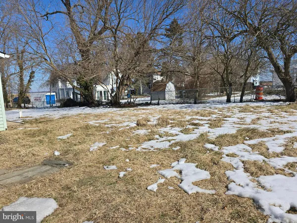 a view of road with card and large trees