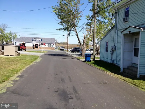a view of a park with large trees