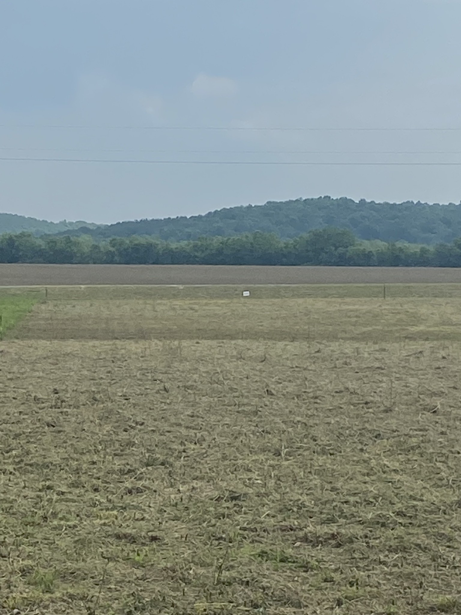 279 Hardin Bottom River Road Clifton, TN 38425 - Photo 11 of 29