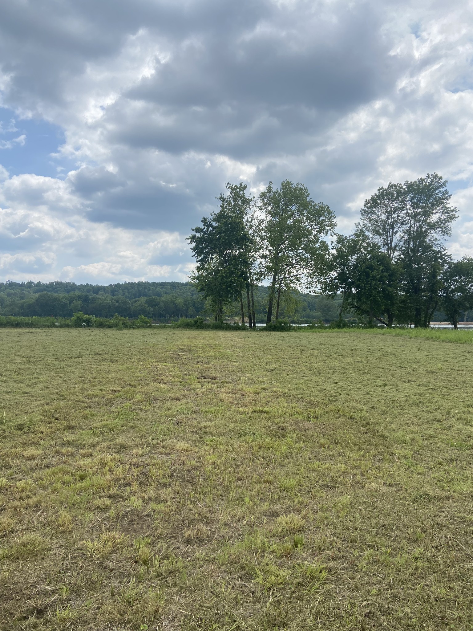 279 Hardin Bottom River Road Clifton, TN 38425 - Photo 14 of 29