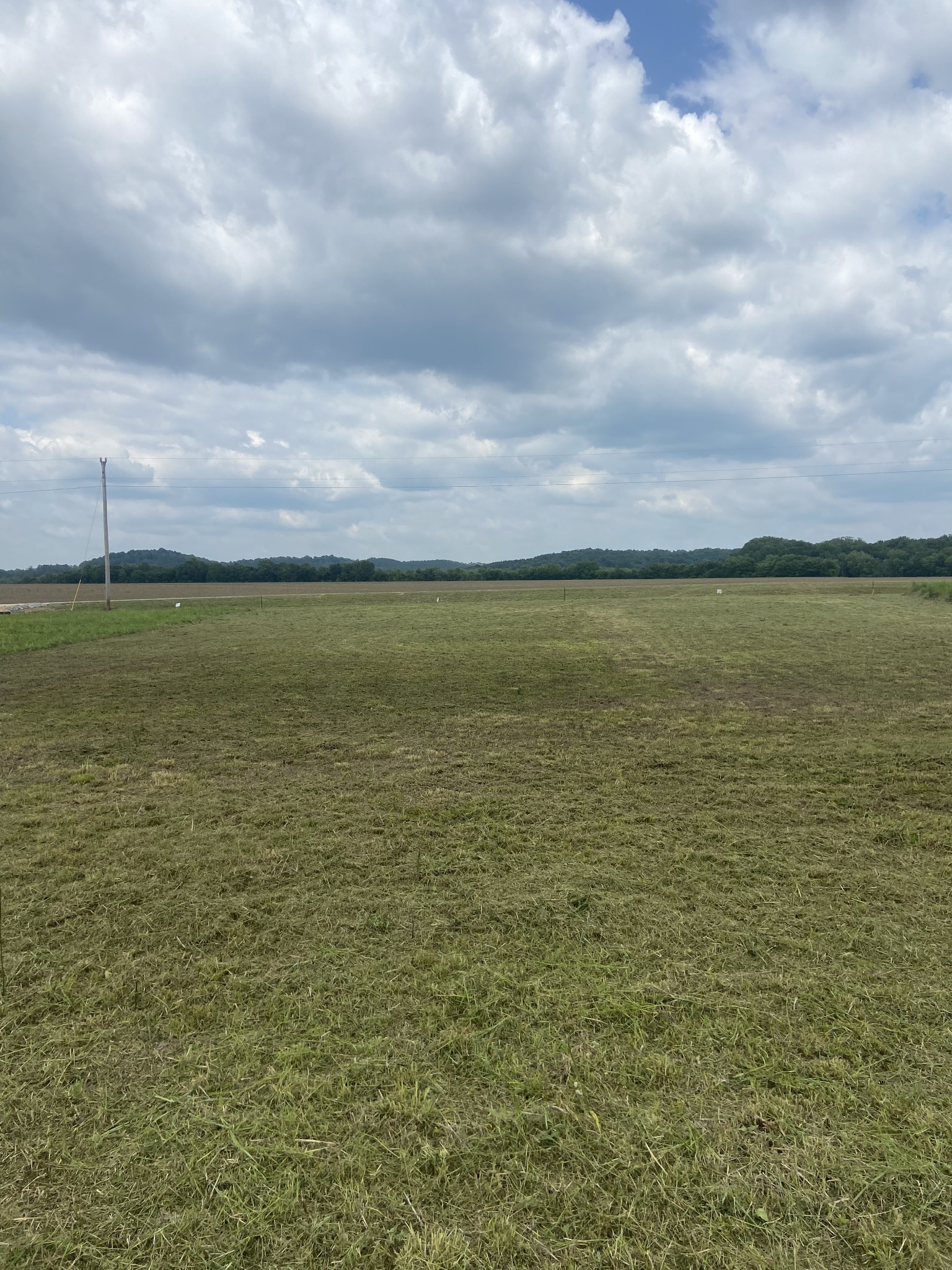 279 Hardin Bottom River Road Clifton, TN 38425 - Photo 15 of 29