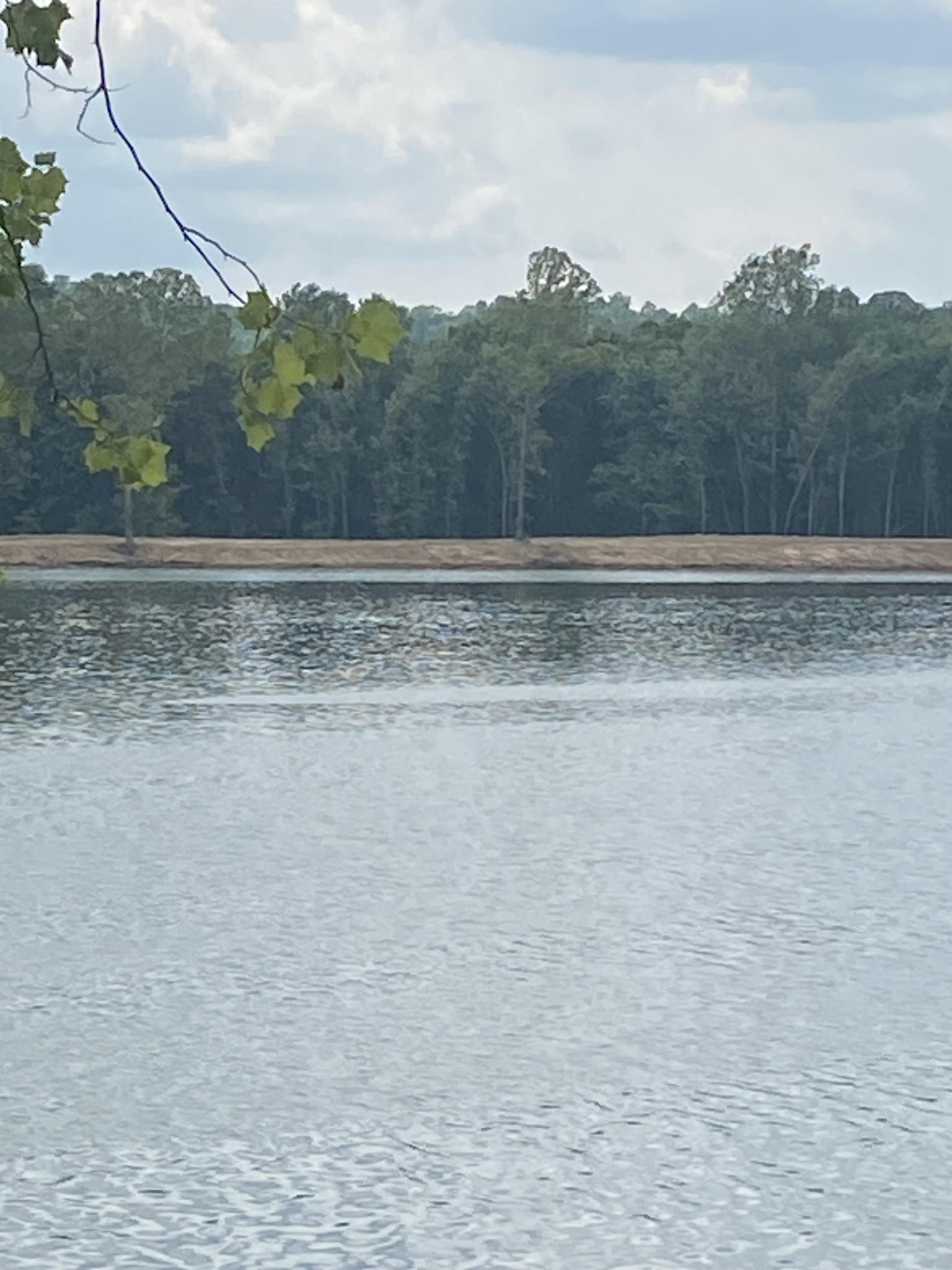 279 Hardin Bottom River Road Clifton, TN 38425 - Photo 18 of 29