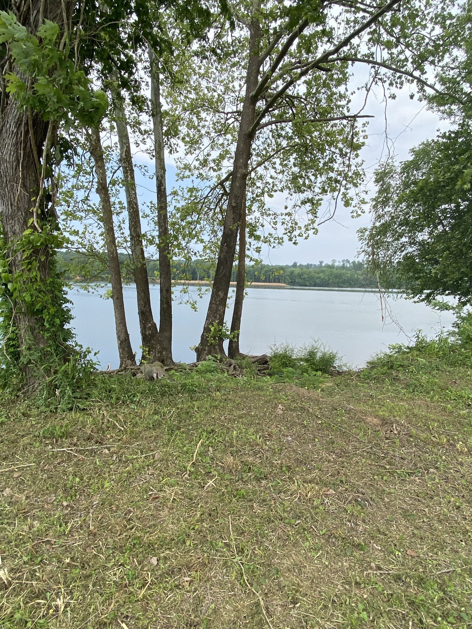 279 Hardin Bottom River Road Clifton, TN 38425 - Photo 2 of 29