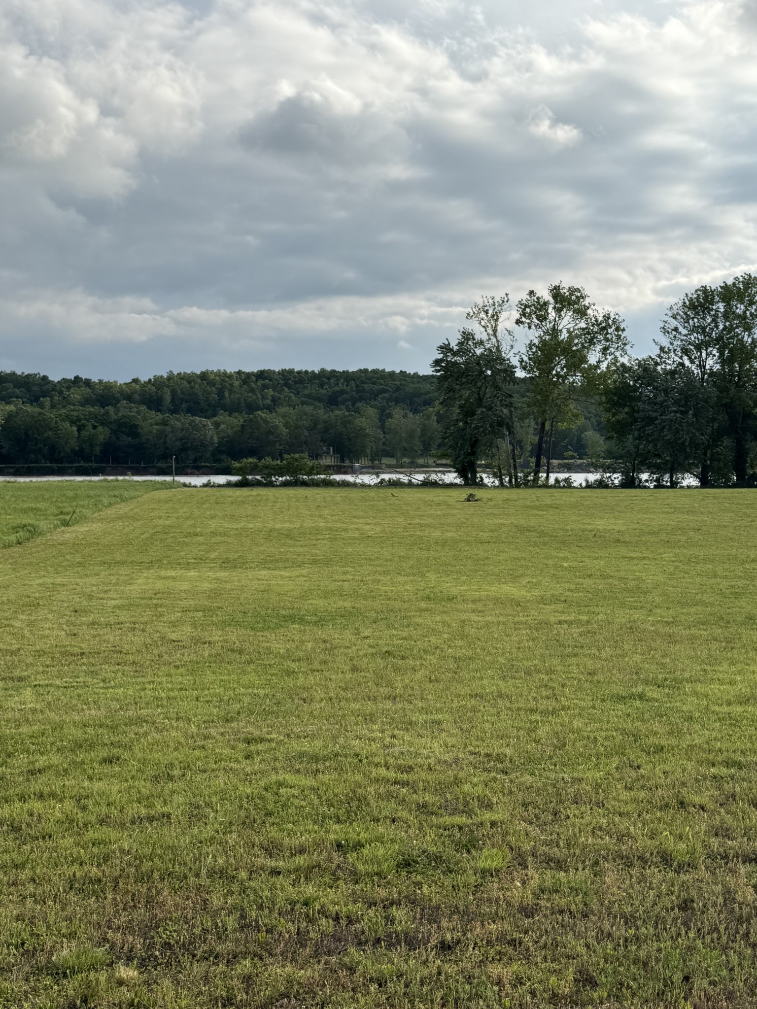 279 Hardin Bottom River Road Clifton, TN 38425 - Photo 24 of 29