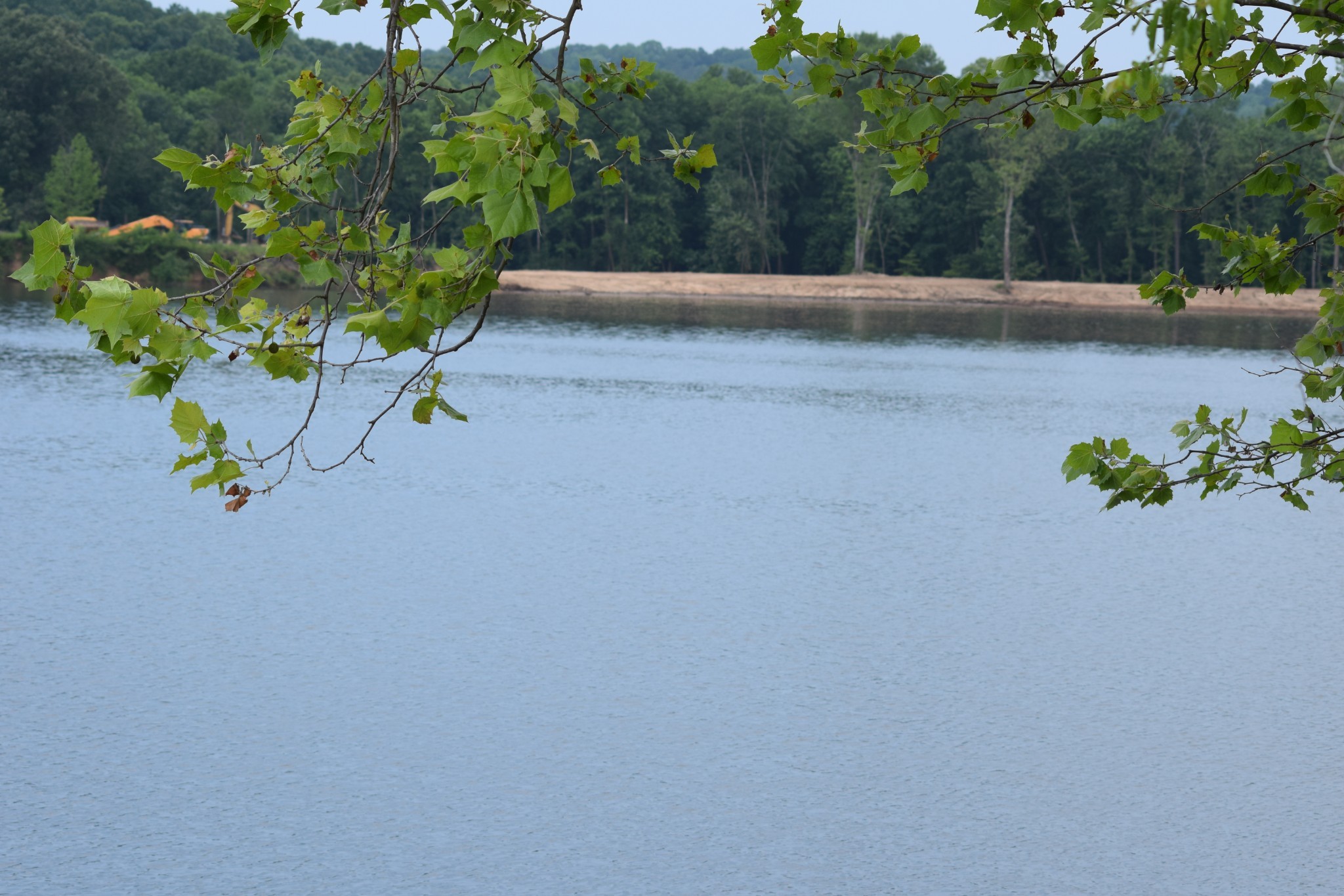 279 Hardin Bottom River Road Clifton, TN 38425 - Photo 5 of 29