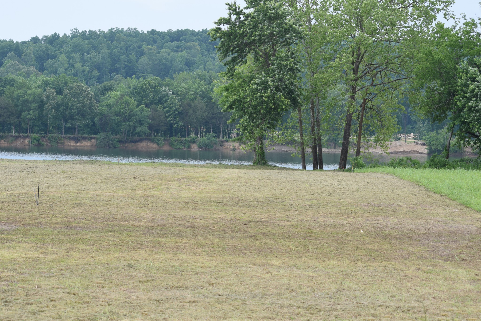 279 Hardin Bottom River Road Clifton, TN 38425 - Photo 6 of 29