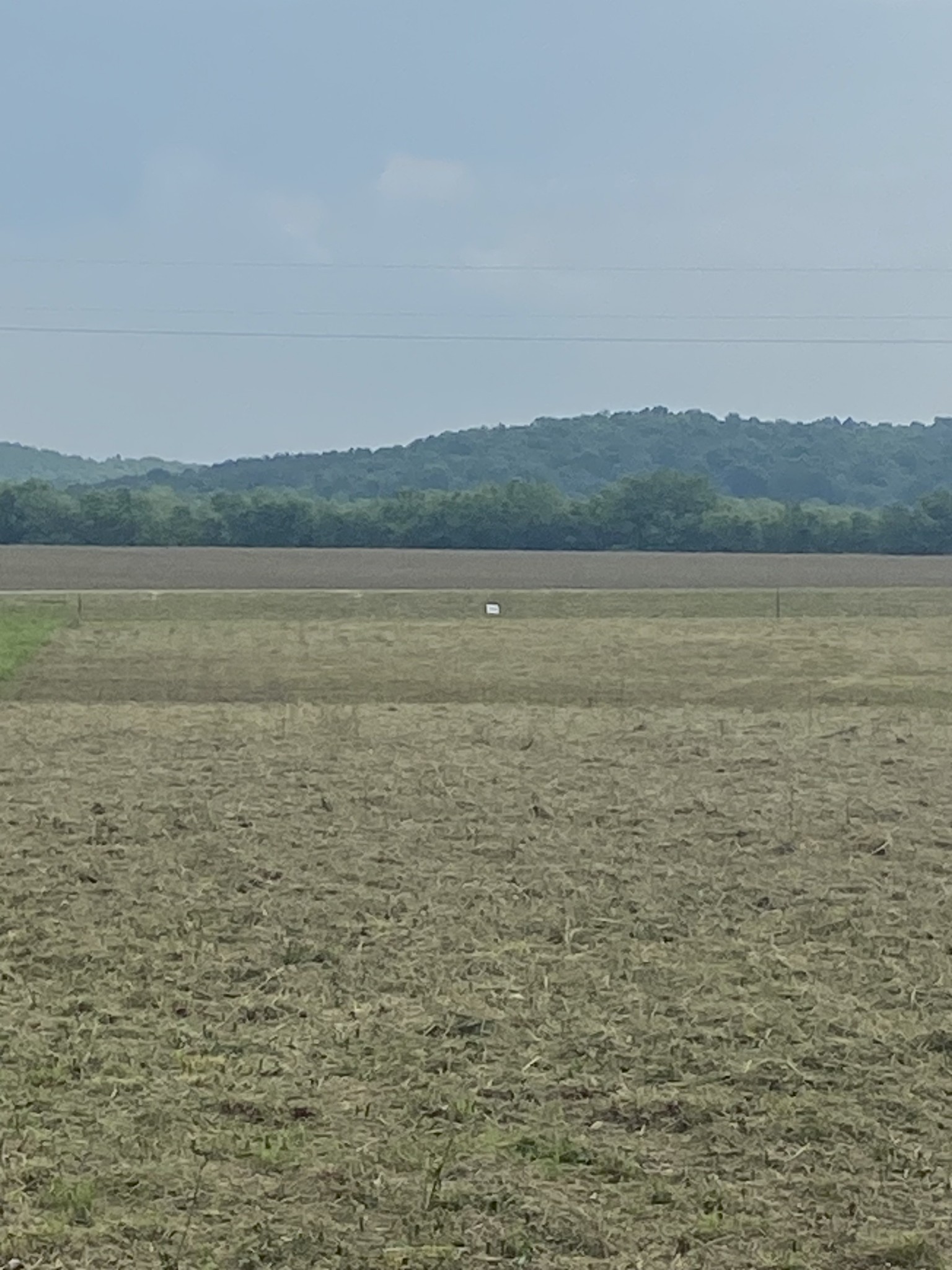 279 Hardin Bottom River Road Clifton, TN 38425 - Photo 10 of 29