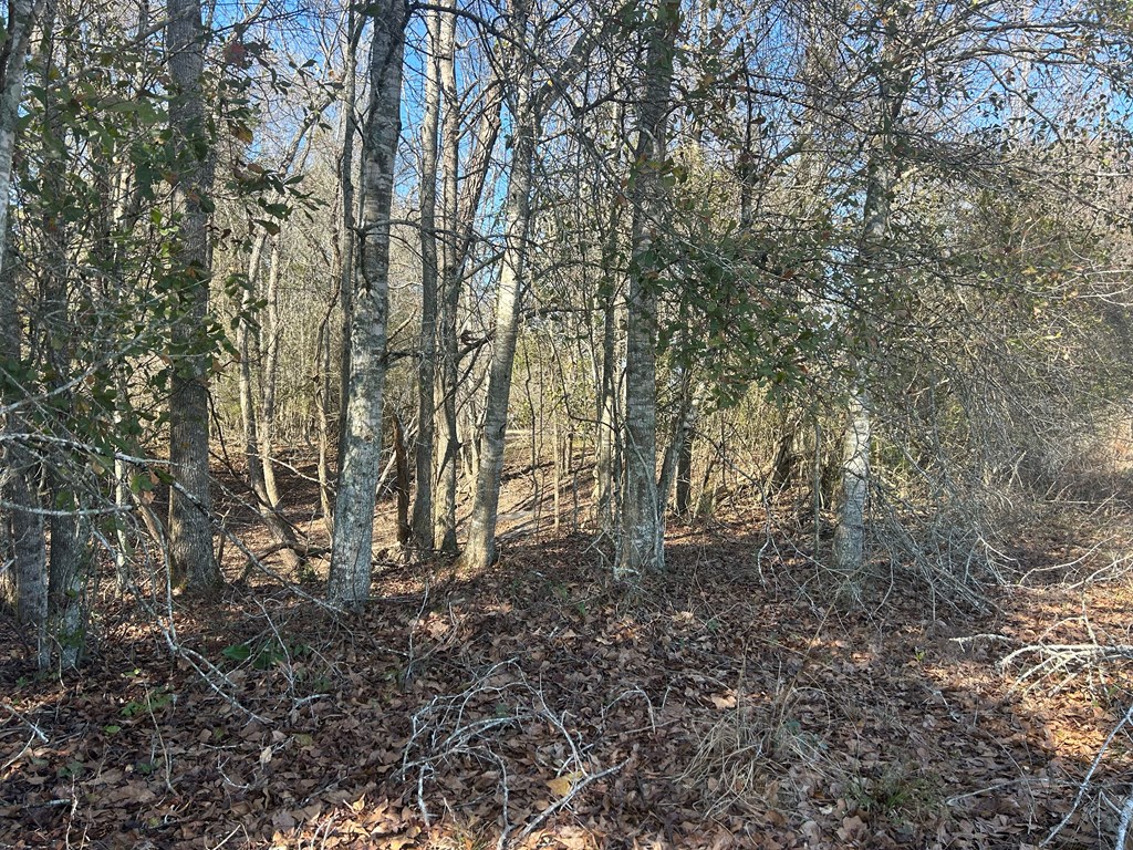 31.5-ac 31.5-ac Rammer Loop Road Dothan, AL 36301 - Photo 36 of 49