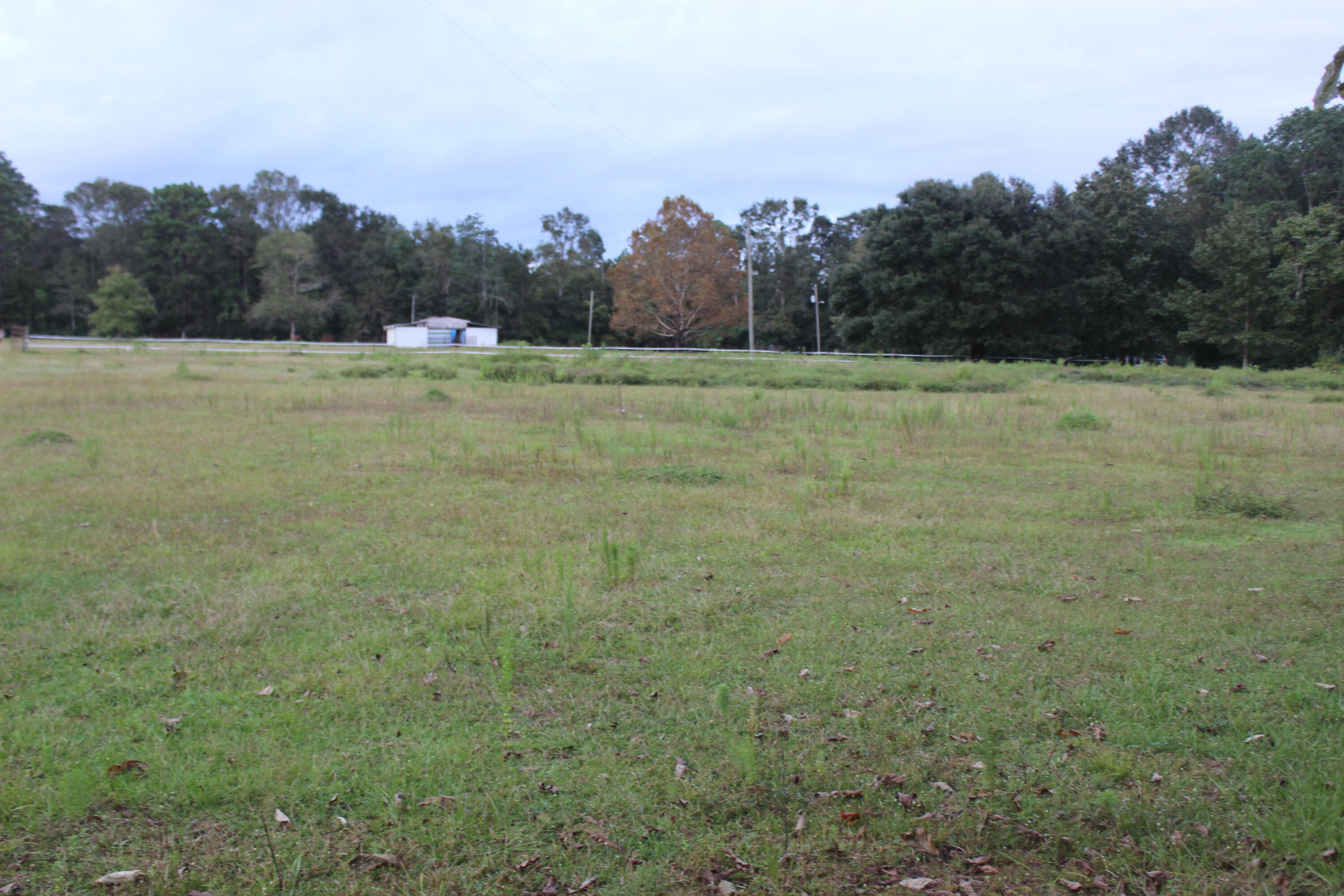 7209 Pinetop Road Lucedale, MS 39452 - Photo 4 of 56 IMG_3304
