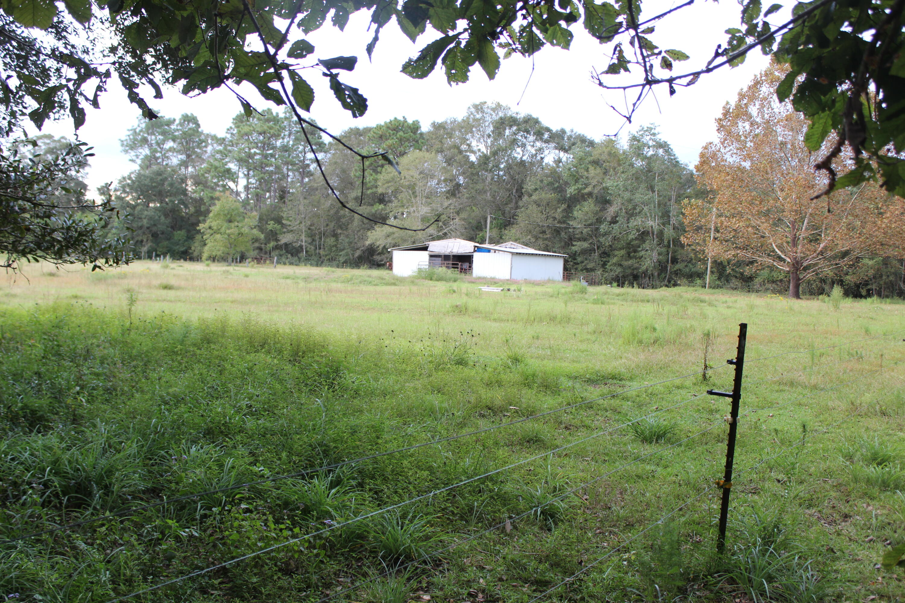 7209 Pinetop Road Lucedale, MS 39452 - Photo 5 of 56 IMG_3294