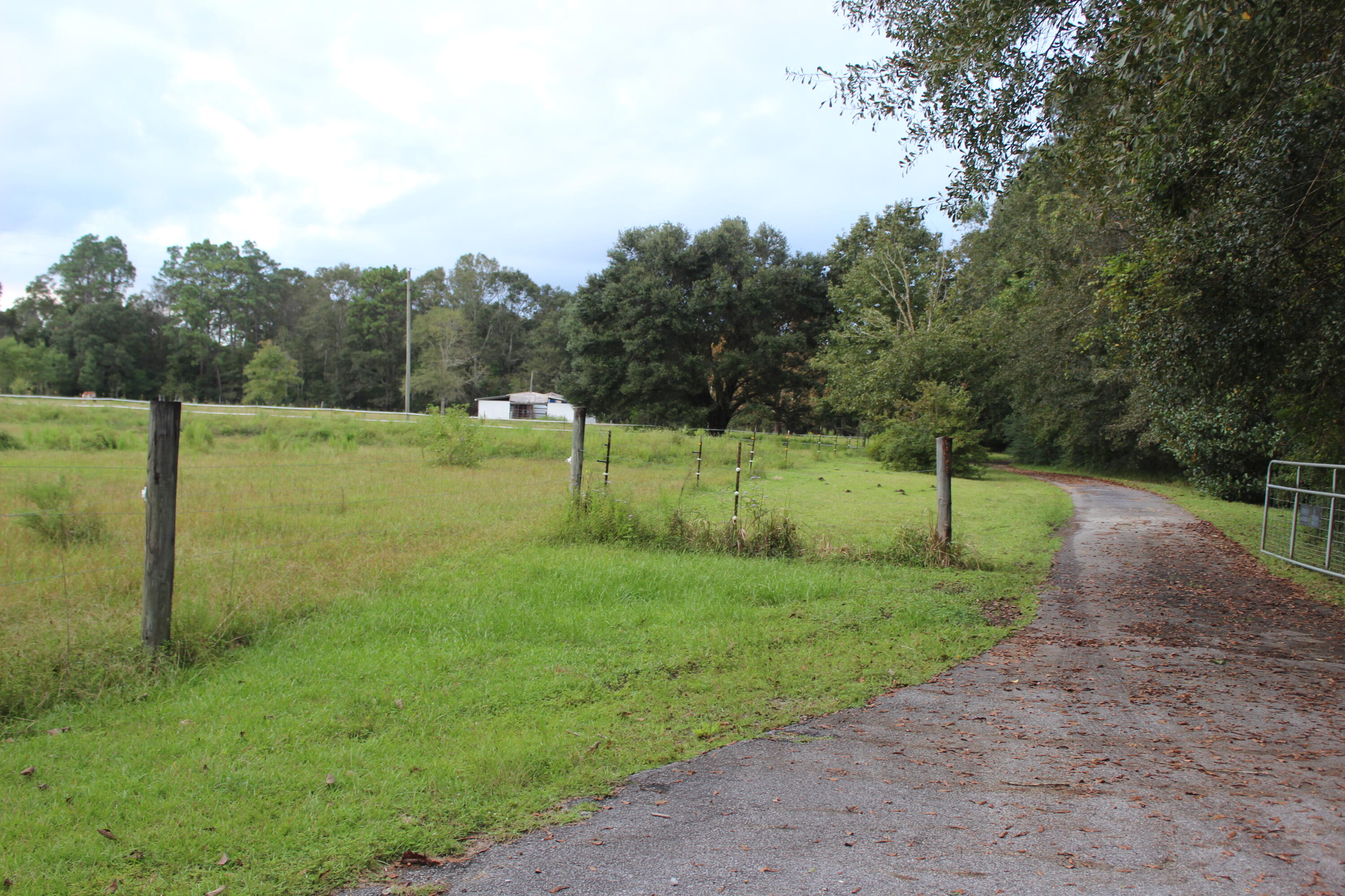 7209 Pinetop Road Lucedale, MS 39452 - Photo 51 of 56 IMG_3297