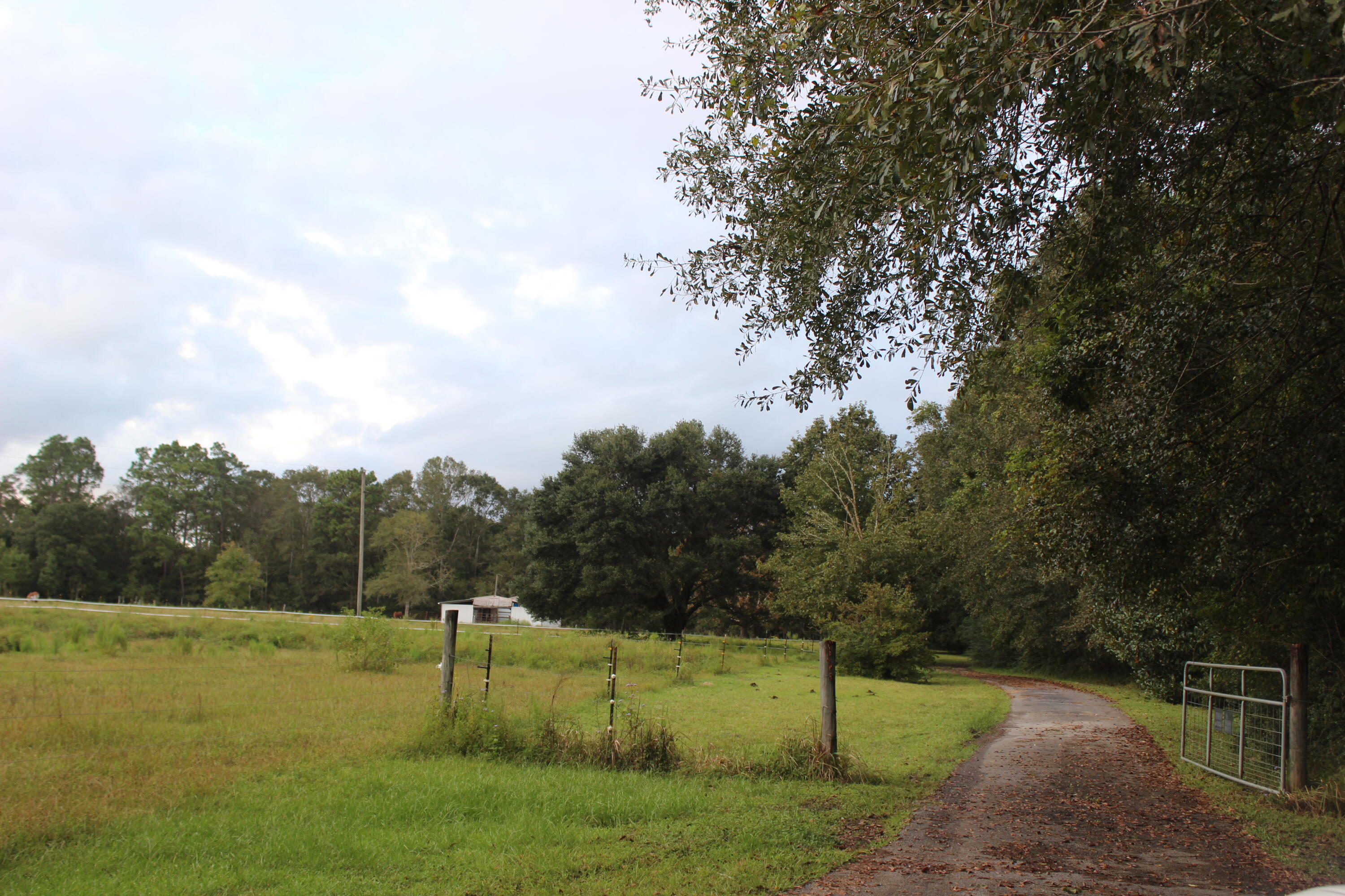 7209 Pinetop Road Lucedale, MS 39452 - Photo 6 of 56 IMG_3301