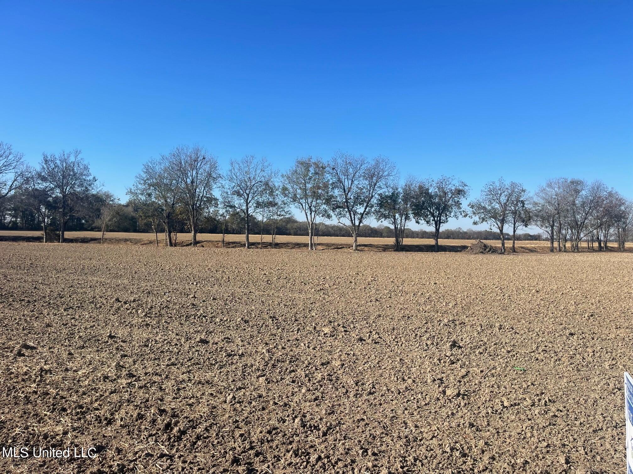 East Rosemary Road Cleveland, MS 38732 - Photo 5 of 7 5