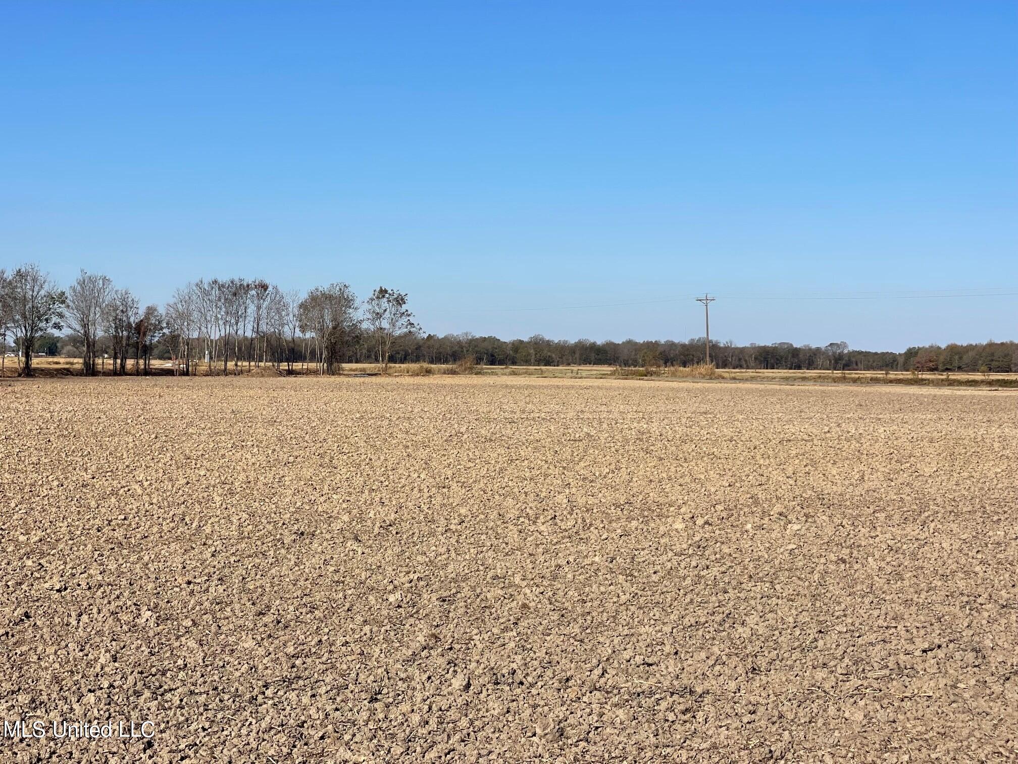 East Rosemary Road Cleveland, MS 38732 - Photo 6 of 7 6