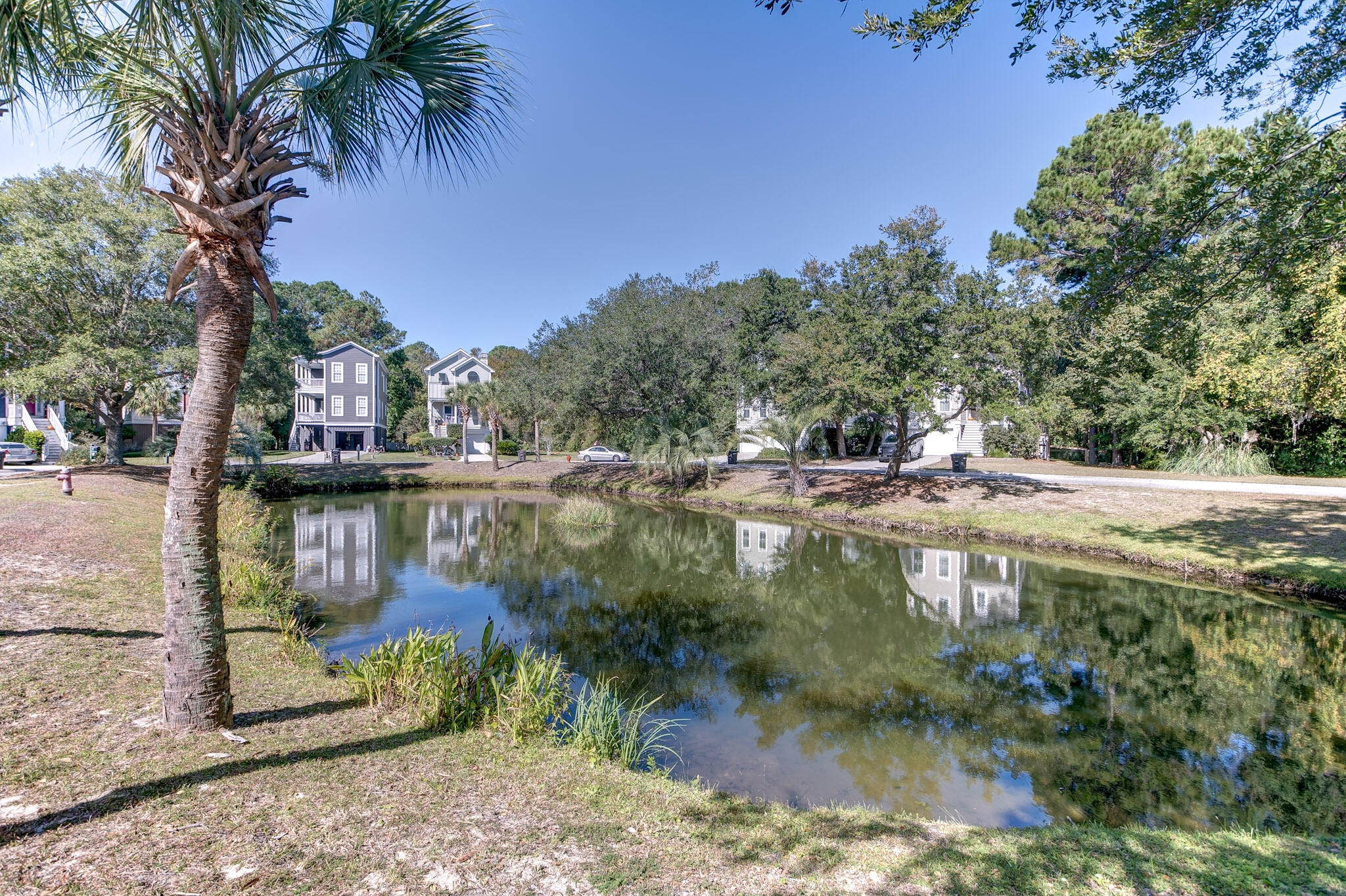 4128 Egrets Pointe Drive Mount Pleasant, SC 29466 - Photo 21 of 21 Pond in front of house