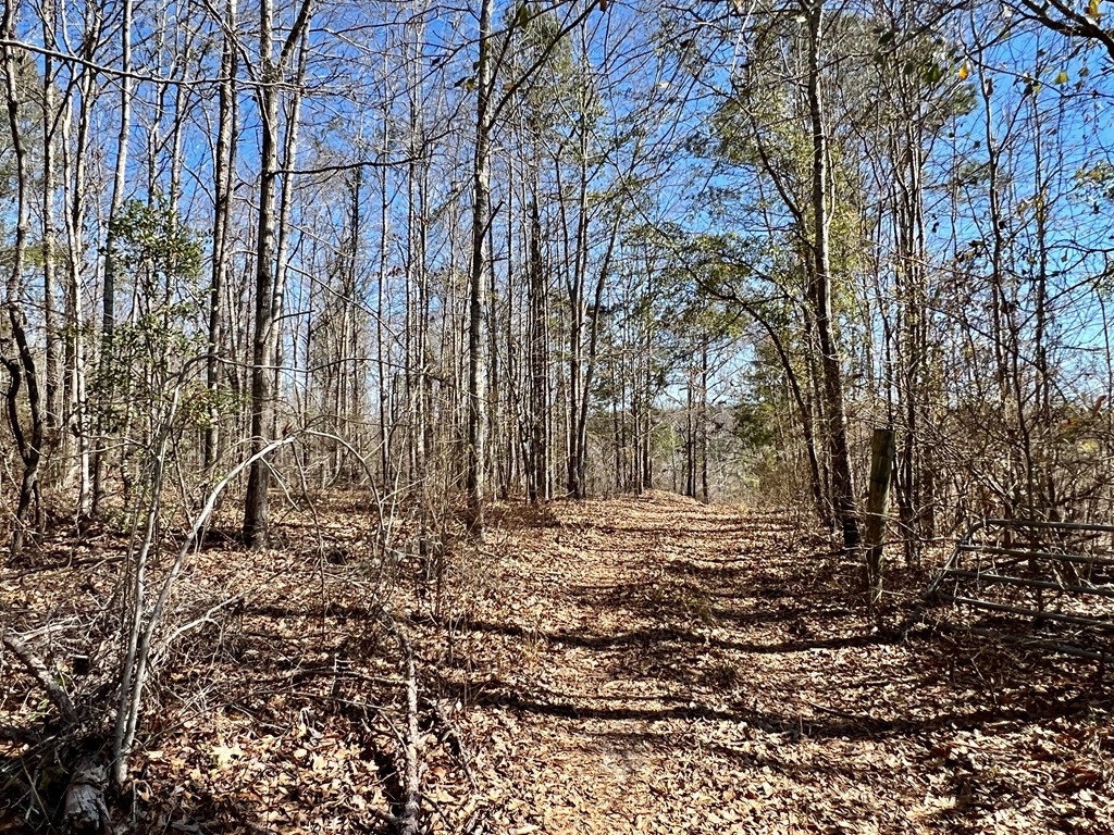 0 County Road 97 Abbeville, AL 36310 - Photo 3 of 53