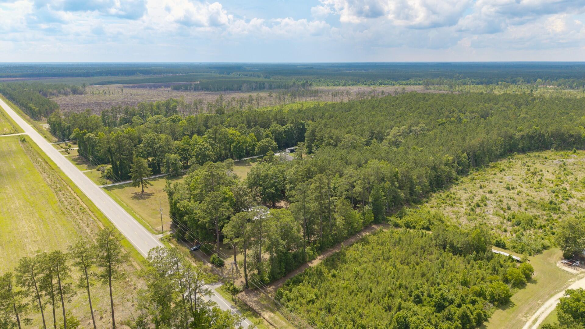 6222 Saints Delight Road Georgetown, SC 29440 - Photo 27 of 31 Saint Delight 2 Acres-24