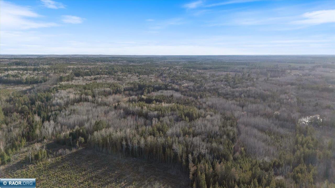 13073 Snake Trail Cook, MN 55723 - Photo 21 of 24