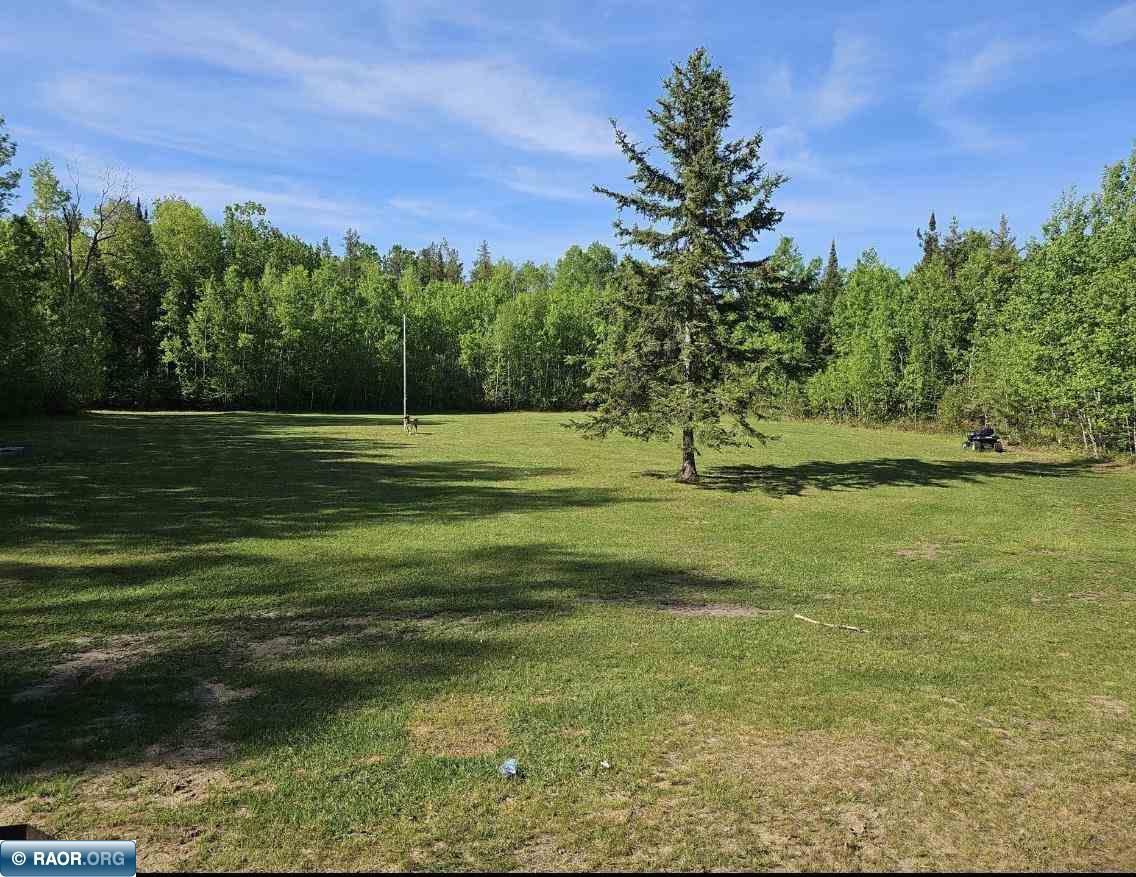 13073 Snake Trail Cook, MN 55723 - Photo 4 of 24