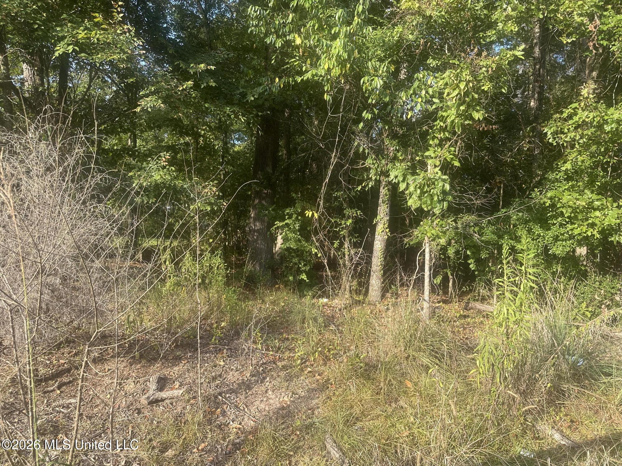 Lake Dockery Road Byram, MS 39272 - Photo 7 of 10 IMG_3758
