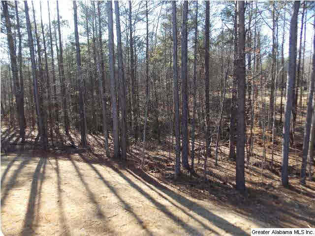 3413 Acton Road, Unit 15 Moody, AL 35004 - Photo 30 of 32