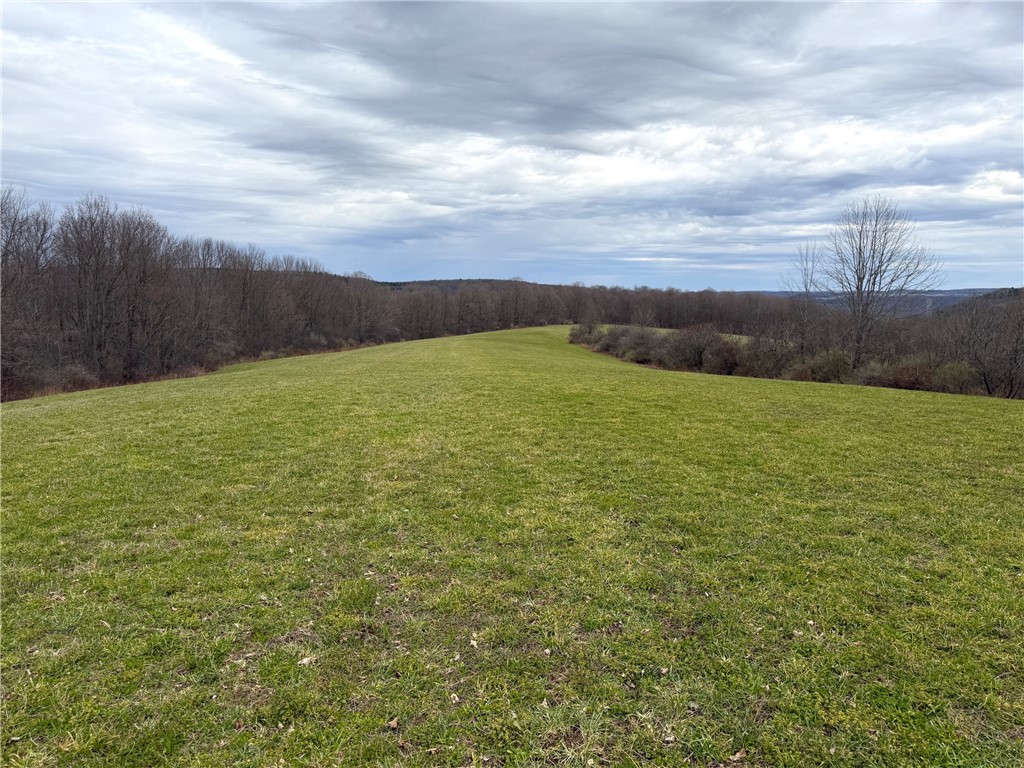 Lot 7 Summit Road Cuba, NY 14727 - Photo 11 of 31