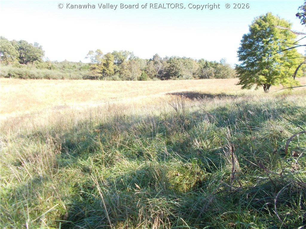 0 Flat Foot Road Apple Grove, WV 25502 - Photo 10 of 11 Gallery Image 10