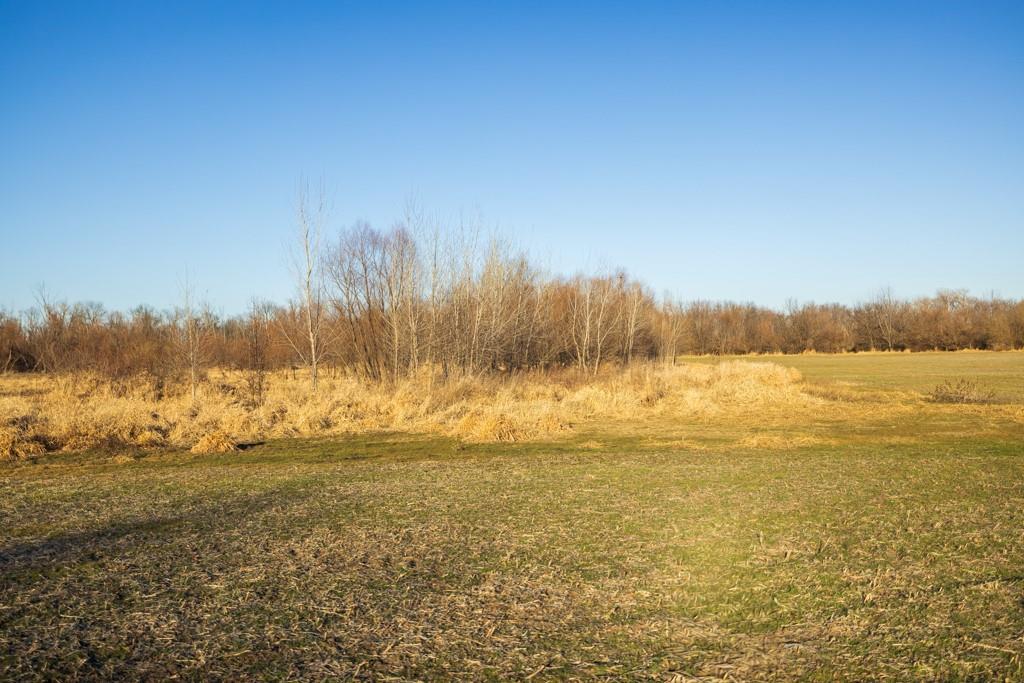 41-acres South Pryor Road Pleasant Hill, MO 64080 - Photo 59 of 80