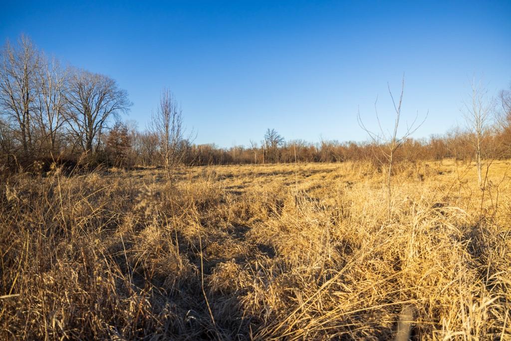 41-acres South Pryor Road Pleasant Hill, MO 64080 - Photo 60 of 80
