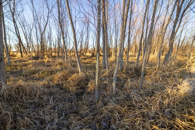 $538,200 | 41-acres South Pryor Road, Pleasant Hill, MO 64080