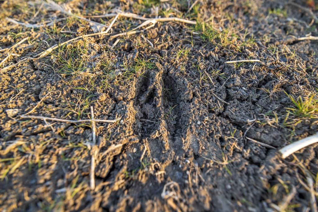 41-acres South Pryor Road Pleasant Hill, MO 64080 - Photo 70 of 80