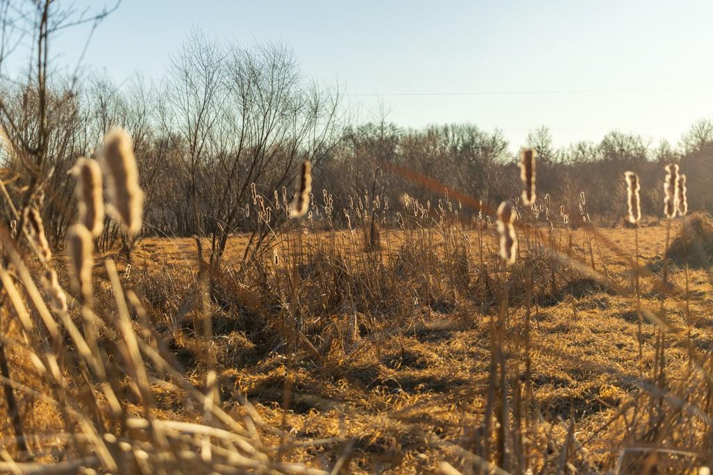 41-acres South Pryor Road Pleasant Hill, MO 64080 - Photo 80 of 80