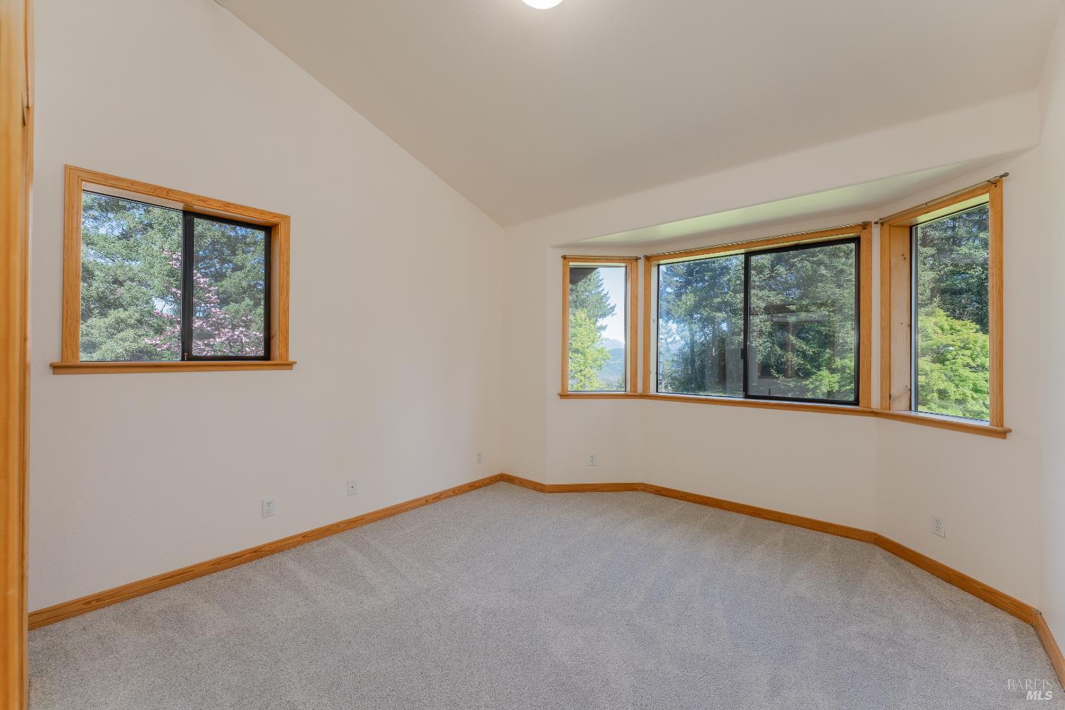 28801 Pinecrest Road Willits, CA 95490 - Photo 24 of 74