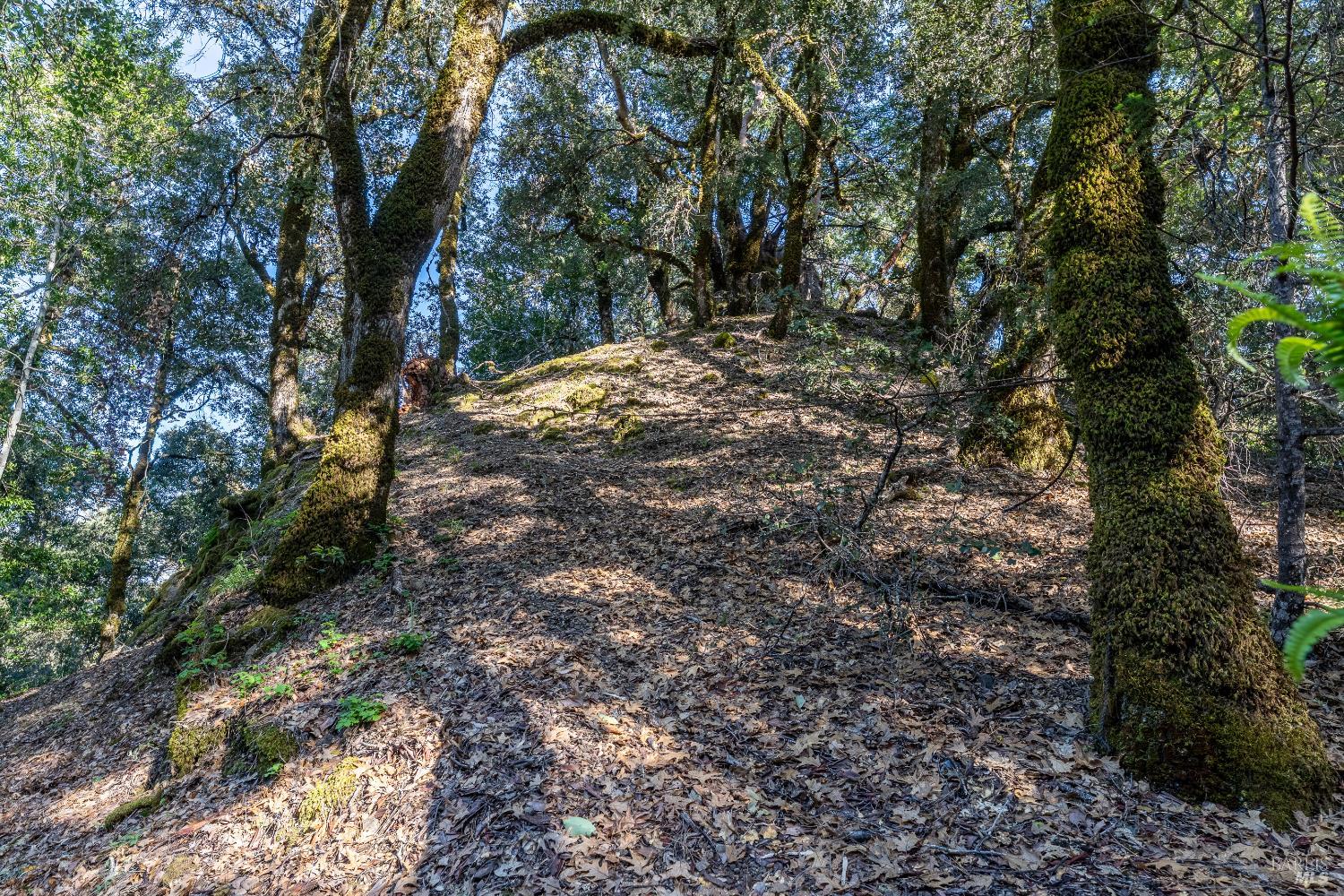 28801 Pinecrest Road Willits, CA 95490 - Photo 59 of 74