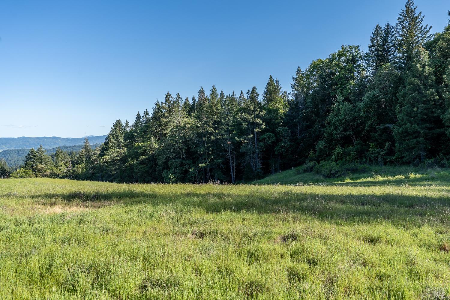 28801 Pinecrest Road Willits, CA 95490 - Photo 62 of 74