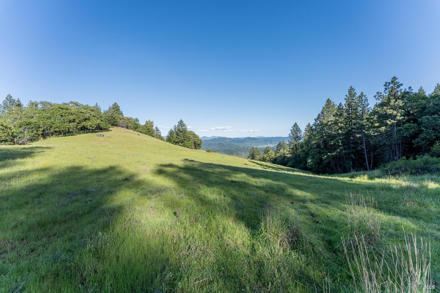 28801 Pinecrest Road Willits, CA 95490 - Photo 63 of 74