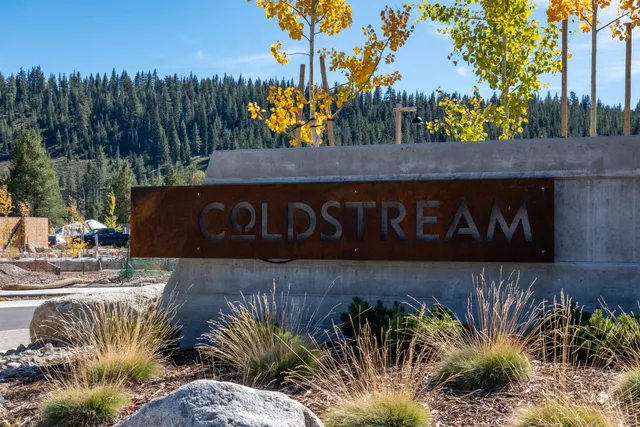 a view of outdoor space with plants