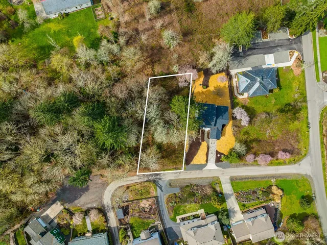 a view of a yard with flower plants