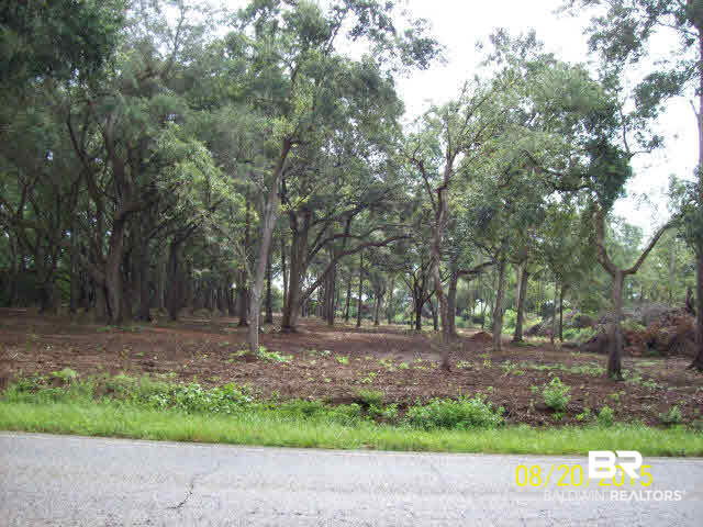 0 South County Road 49 South Foley, AL 36535 - Photo 3 of 4