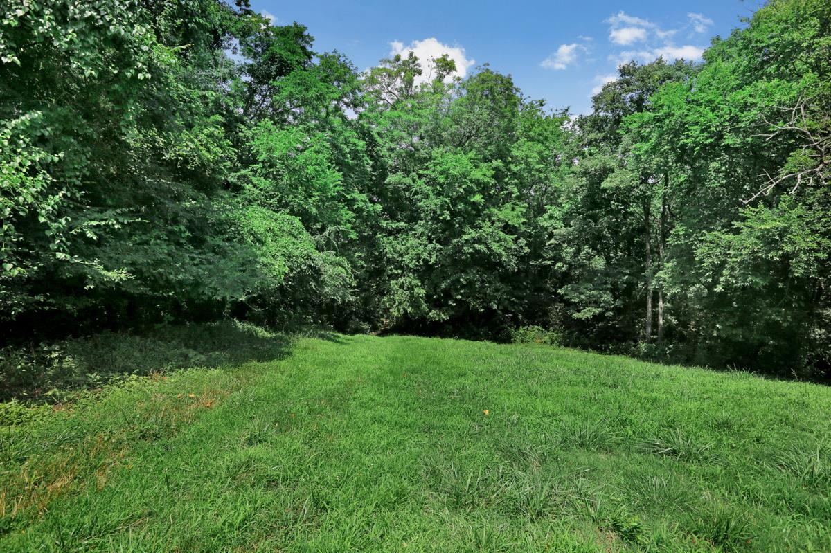 35 Henderson Road Ardmore, TN 38449 - Photo 3 of 11
