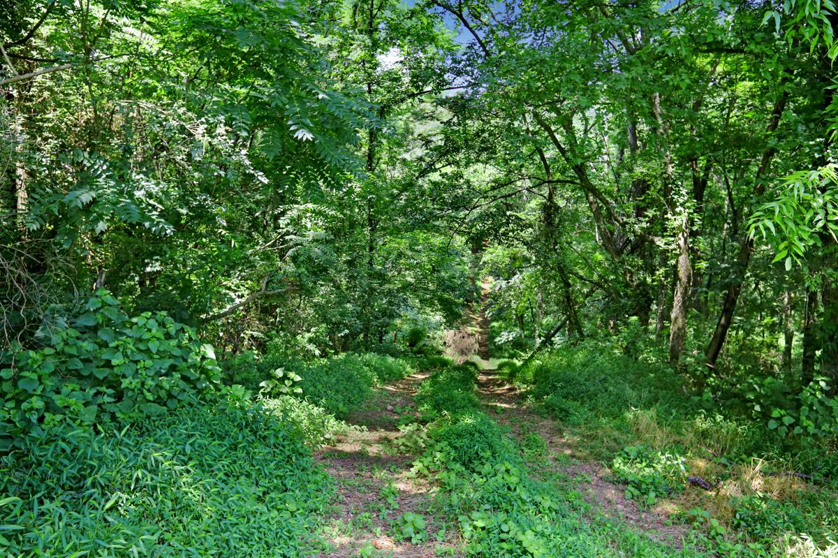 35 Henderson Road Ardmore, TN 38449 - Photo 4 of 11