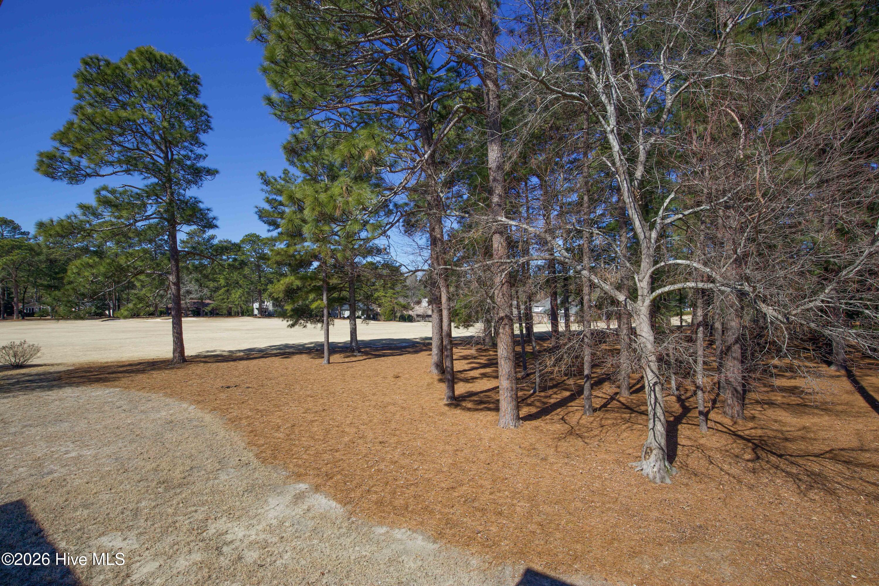 10 Pine Tree Road, Unit 216 Pinehurst, NC 28374 - Photo 12 of 13 216 Pine Tree-7